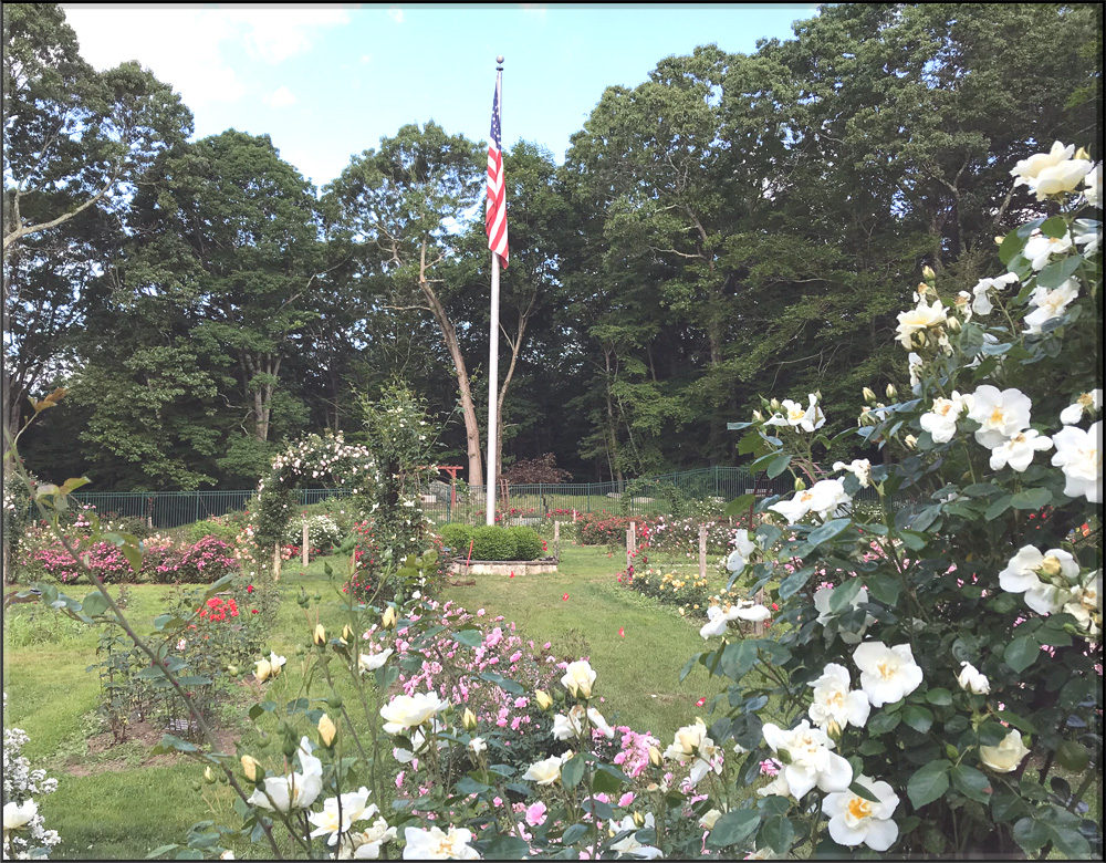 Rose Garden RND E1592090878162