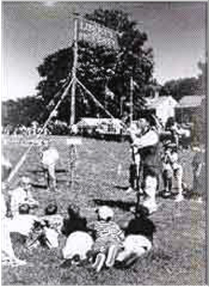 1765 Norwich Liberty Pole