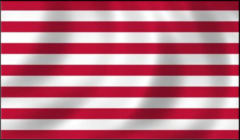 Sons Of Liberty Flag