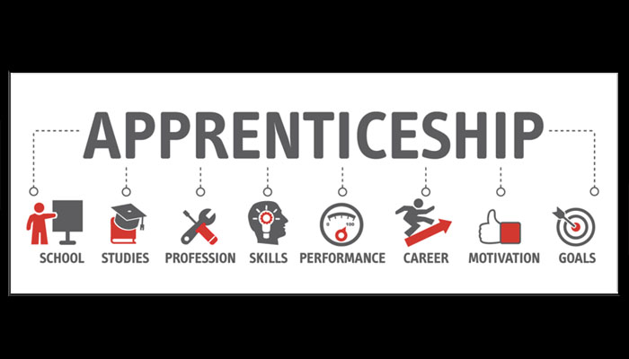 Apprenticeship Quiz