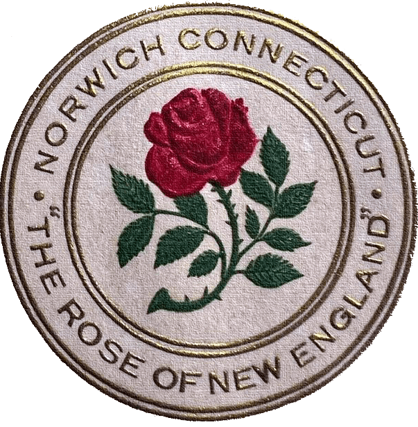 Cropped Rose Of New England