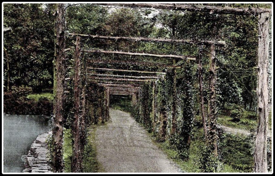Spaulding Pond Dam Before Collapse E1665868801193