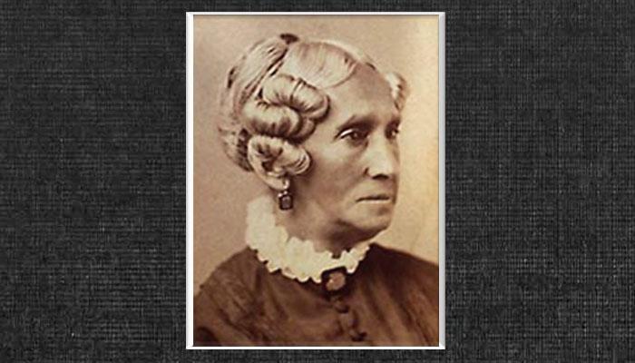 Sarah Harris Fayerweather Quiz E1690656381550