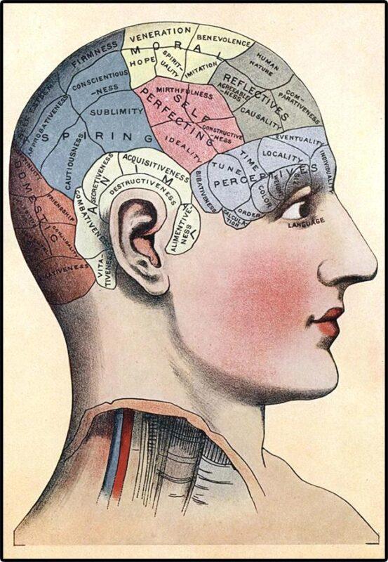 Phenology E1723035349478