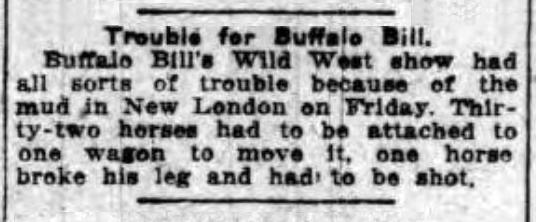Buffalo Bill Trouble