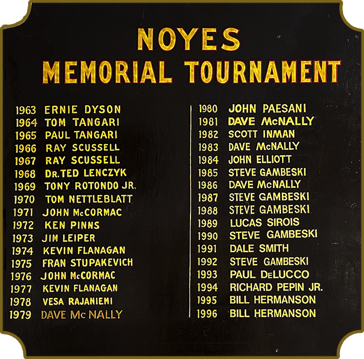 noyes board 1
