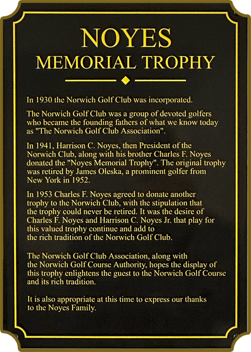 noyes plaque